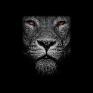 Meet your Posher, Dominique